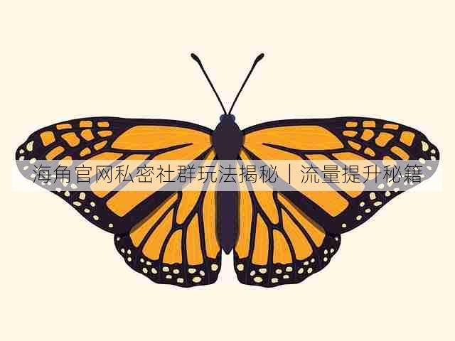 海角官网私密社群玩法揭秘｜流量提升秘籍